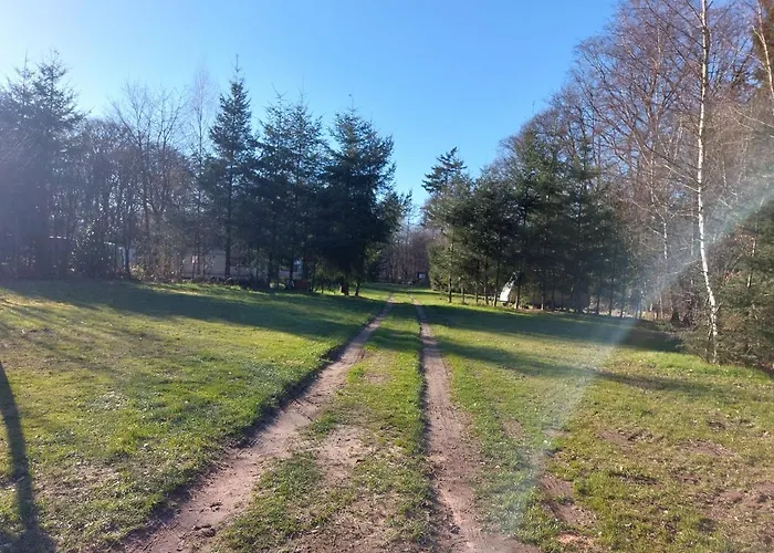 Chalet Natuurchalet De Wehl